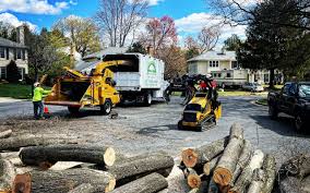 Best Landscape Design and Installation  in Paris, TN